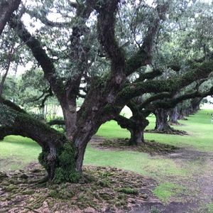 Meet your Posher, Shay